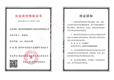 资信等级证书